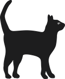 KEDİ FOLYO STİCKER