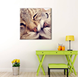 Kedi Çift  Kanvas Tablo