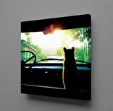 ARABADA KEDİ