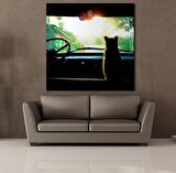 ARABADA KEDİ