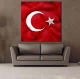 TÜRKİYE BAYRAĞI