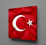 TÜRKİYE BAYRAĞI