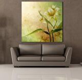 YEŞİL YAPRAKLI ÇİÇEK