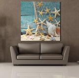 DENİZ YILDIZI KABUKLARI TEMALI KANVAS TABLO