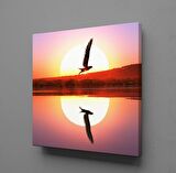 GÜN DOĞUŞU VE BATIŞI KUŞ