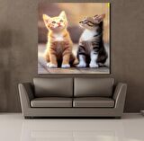 FARKLI RENKTE KEDİ