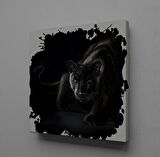 SİYAH ASLAN