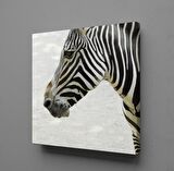 ZEBRA KAFASI