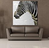ZEBRA KAFASI