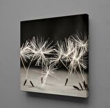 KARAHİNDİBA ÇİÇEĞİ