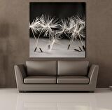 KARAHİNDİBA ÇİÇEĞİ