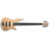 IBANEZ SR1005EFMNTF