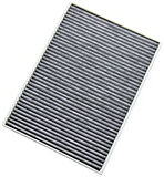 Sardes SCA824 Polen Filtresi C5 III C6 04 08-P407 04-Karbonlu 6479.45