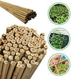 Doğal Bambu Bitki Destek Çubuğu 120 Cm 10 Adet 8-10 mm