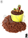 Hindistan Cevizi Torfu%100 Doğal Torf - Cocopeat Hindistan Cevizi Lifi - Doğal Bitki Toprağı 5 Lt