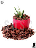 Dekoratif Ithal Çam Kabuğu 10-20 Mm 5 Litre