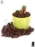 Dekoratif İthal Kil Bilyesi 10 Lt