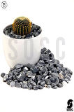 SOSC Natural Kırçılı Çakıl taşı Dolomit taşı Bahçe süsü Akvaryum taşı Dere çakıl taşı 1-2 cm1 Kg