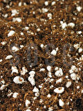 SUBSTRAT LIGHT MIX Ithal Sphangum Torfu Cocopeat Perlit Özel Karışım Saksı Harcı Çiçek Ve Bitki Toprağı  5 LT