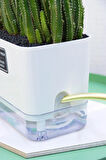 Otomatik Sulamalı Modern Mini Kare Akıllı Saksı