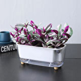 Kendini Sulayan Modern Akıllı Saksı (Küçük Boy)