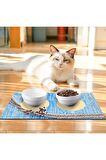 Cute Cats Kedi Köpek Mama Eğitim Paspası Ve Beslenme Altlığı