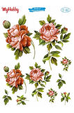 St 065 Pembe Gül Desenli Sulu Transfer 25x35