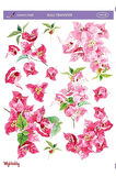 Begonvil, Pembe, Çiçek Desenli Sulu Transfer Lnt-78 25x35