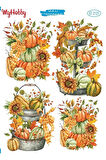 ST 2121 Çoklu Balkabağı, Pumpkin, Sulu Transfer 25x35