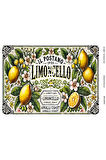 Limon Serisi LMN123 Limon, Limoncello, Pano Desenli, 29*42 cm Pirinç Dekopaj