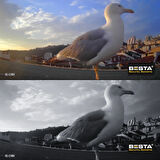 ARNA 5 MP LENS 2MP 1080P FULL HD İÇ MEKAN DOME GÜVENLİK KAMERA SETİ 500 GB HDD DAHİL - ST24500K