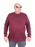 Starbattal Erkek Büyük Beden Sıfır Yaka 3ip Sweat Original 24203 MURDUM