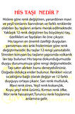 925 Ayar Gümüş Duygulara Göre Renk Değiştiren His Taşı Yüzük
