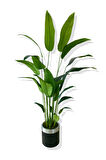 STARLİÇE 24 YAPRAK 190 CM YAPAY AĞAÇ 30X30 GÜMÜŞ KEMERLİ SAKSI