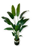 STARLİÇE 24 YAPRAK 190 CM YAPAY AĞAÇ 30X30 GÜMÜŞ KEMERLİ SAKSI