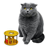 Sylar Ahşap Kafes Renkli Toplu Kedi Patisi Desenli Sesli Kedi Oyuncağı