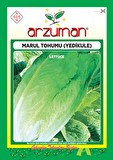 YEDİKULE MARUL TOHUMU 10 GR ORT 7500 AD TOHUM