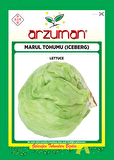 İCEBERG MARUL TOHUMU 5 GR ORT 3750 AD TOHUM