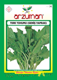 GENİŞ YAPRAK TERE TOHUMU 10 GR ORT 3000 AD TOHUM