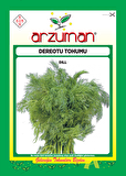 DEREOTU TOHUMU 10 GR ORT 6000 AD TOHUM