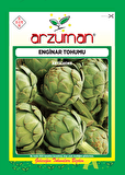 ENGİNAR TOHUMU 20 AD TOHUM