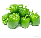 Yerli Dolma Biber Tohumu 10 Gr (Ort 1200 Ad)
