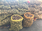 Agria Yerli Tohumluk Patates 1 Kg