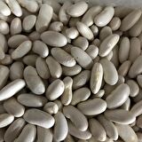 YERLİ OTURAK BEYAZ FASULYE ( HOROZ FASULYESİ ) 100 GR