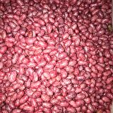 GİNA OTURAK FASULYE TOHUMU 100 GR