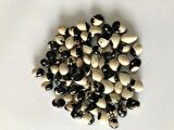 YERLİ SIRIK AYŞE KADIN FASULYE TOHUMU 500 GR (SİYAH BEYAZ)