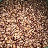 YERLİ YUVARLAK SIRIK BARBUNYA TOHUMU 100 GR 