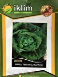 TEREYAĞLI KIVIRCIK MARUL TOHUMU 5 GR TAKRİBİ 2500 ADET TOHUM