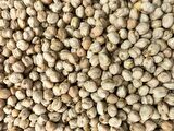 Yerli Nohut Tohumu 100 Gr