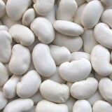 YERLİ BOMBAY İRİ TANE BEYAZ SIRIK FASULYE TOHUMU 500 GR